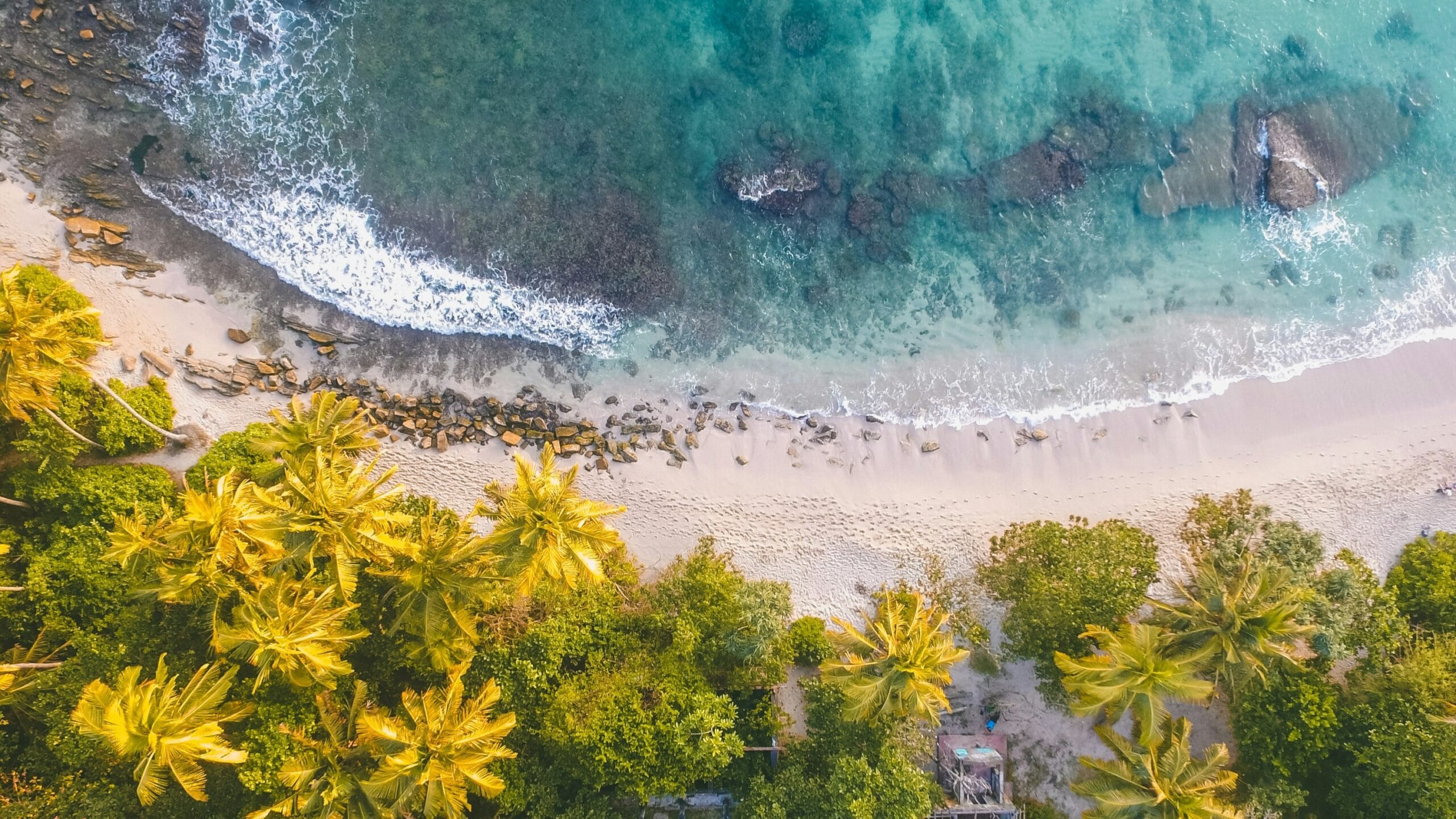 Beach seen from above.